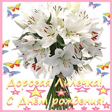 Открытка Лилии