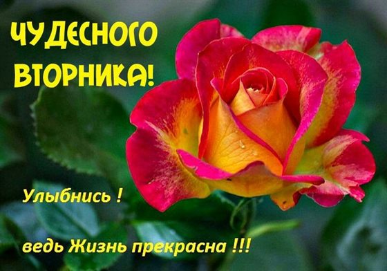 Открытка