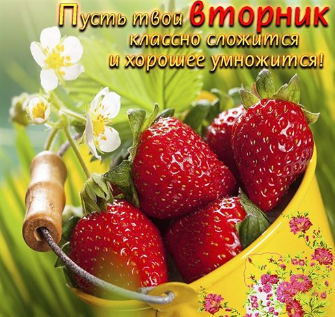 Открытка