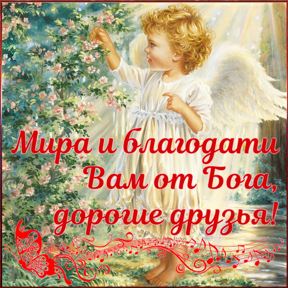 Открытка