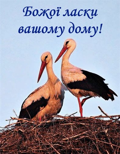 Открытка