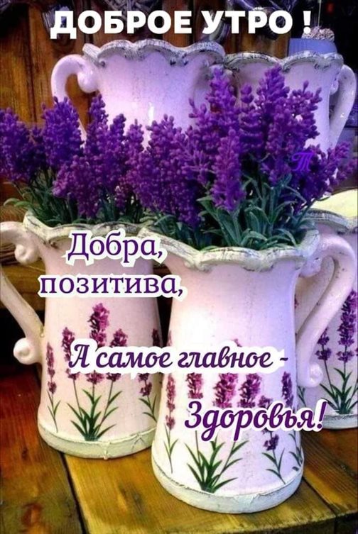 Открытка