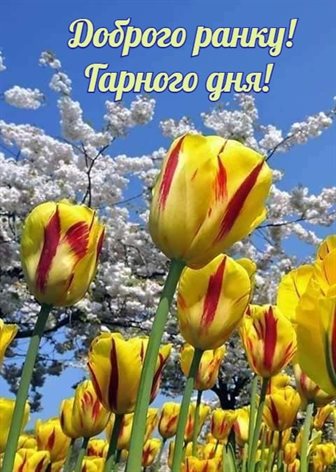 Открытка