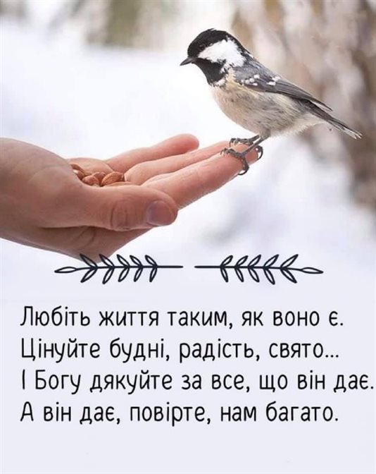 Открытка