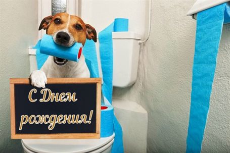 Прикольная картинка Прикольные открытки с Днем Рождения - скачать бесплатно для Telegram