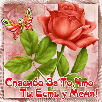 Открытка
