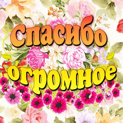 Открытка