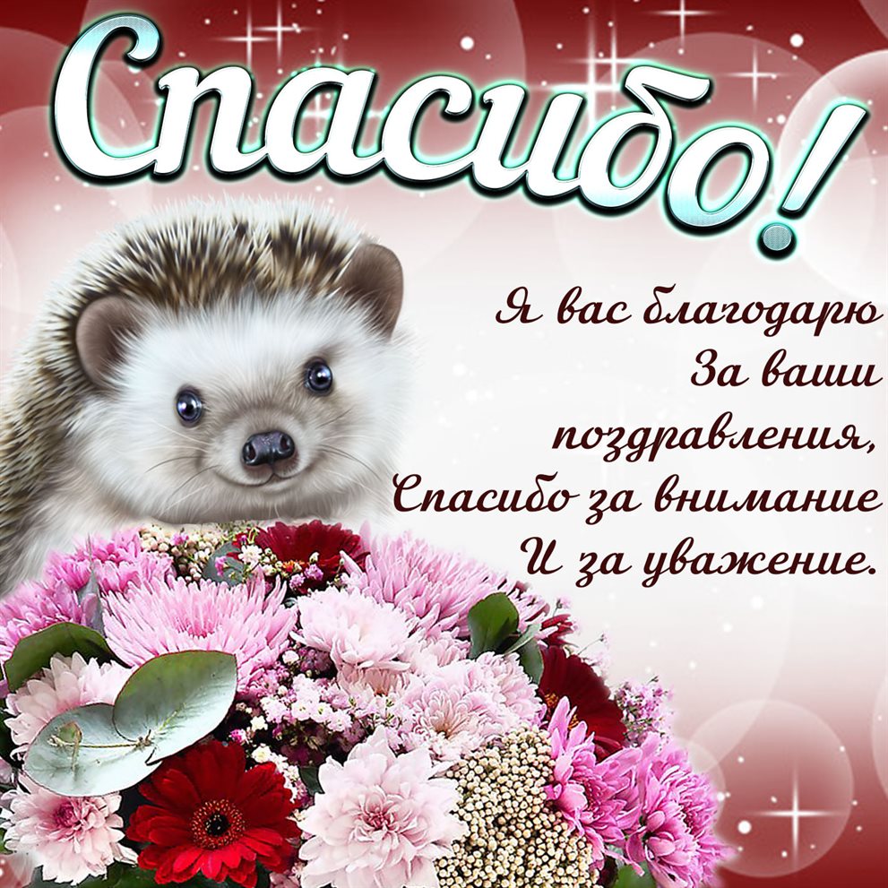 Открытка