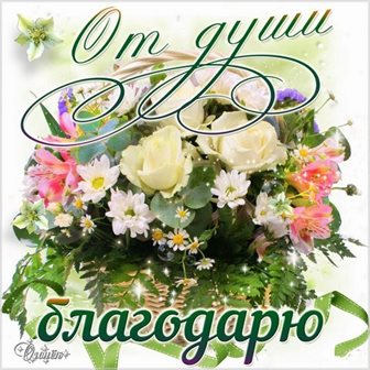 Открытка