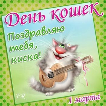 Лучшее фото с Днем кошек в России - со стихами для Ватсап