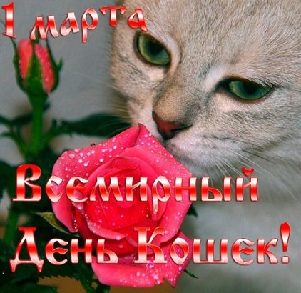 Стильная картинка с Днем кошек в России - в хорошем качестве для Ватсап