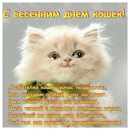 Стильная картинка с Днем кошек в России - со стихами для VK