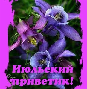 Стильная картинка с началом июля - скачать бесплатно для Одноклассников