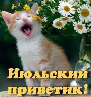 Лучшее фото с началом июля - скачать бесплатно для Одноклассников