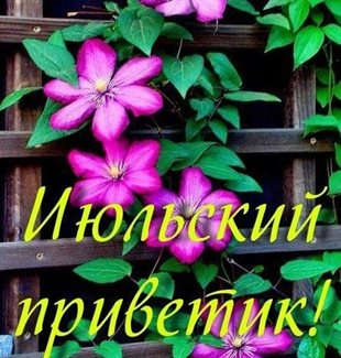 Красивая открытка с началом июля - с пожеланиями для Ватсап