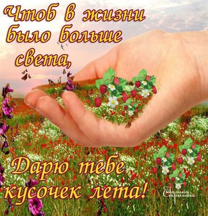 Красивая открытка с началом июля - скачать бесплатно для Ватсап