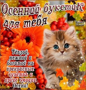 Стильная картинка с началом осени - скачать бесплатно для VK