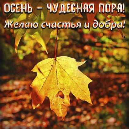 Стильная картинка с началом осени - скачать бесплатно для VK
