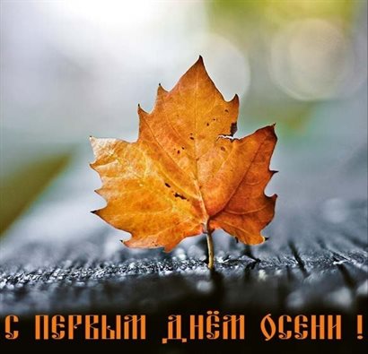 Лучшее фото с началом осени - скачать бесплатно для Telegram