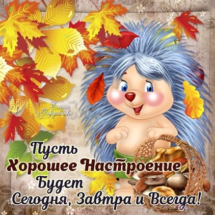 Открытка