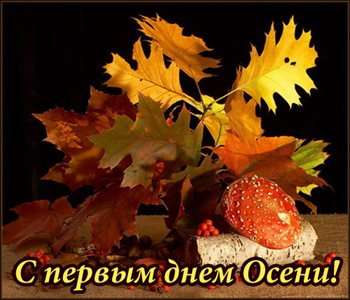 Прикольная картинка с началом осени - скачать бесплатно для Одноклассников