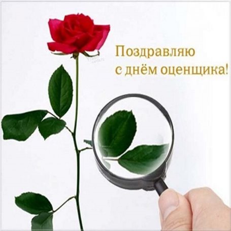 Красивая открытка с Днем оценщика - в хорошем качестве 2026