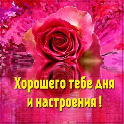 Прикольная картинка с Днем Рождения на телефон - в хорошем качестве для Telegram